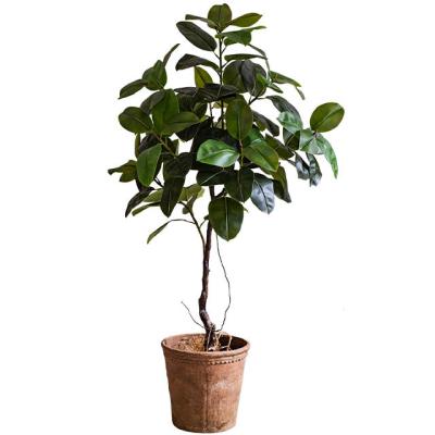 China Artificial Tree Plant Decoration Almost Natural Rubber Leaves Plastic Indoor Tree Bonsai Leaf For Sale for sale