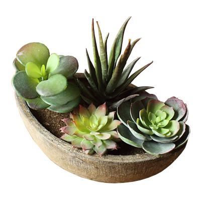 China Modern Small Artificial Plastic Succulent Bonsai Potted Plants Office Decoration Faux Succulent Plants for sale