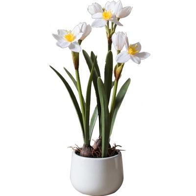 China Minimalist Artificial Plants in Pots Daffodils Artificial Flower Plant Artificial Flower Plants and Desktop Artificial Flowers for sale