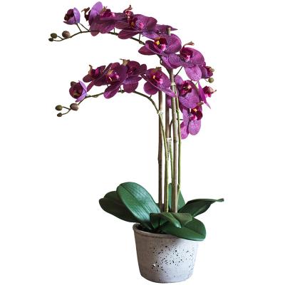 China Modern Artificial Potted Desktop Flower Plants Phalaenopsis Simulation Artificial Flowers Decoration for sale