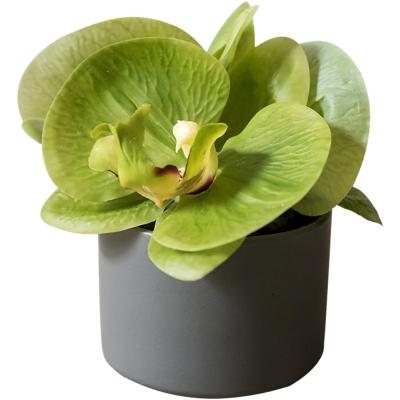 China Modern Artificial Phalaenopsis Bonsai Desktop Decoration Fake Potted Small Plants for sale