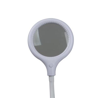 China China On/Off Made Magnifying Lamp High Quality Plastic Magnifier Jewelry Appreciation Lamp for sale