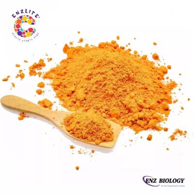 China Organic Turmeric Root Extract 95% Turmeric Longa Extract Turmeric Extract CAS 458-37-7 Food Contract Manufacturing for sale