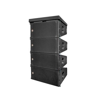 China 10 Inch Outdoor Dual Line Array Speaker 8 Ohm 2 Way Passive Speaker China Hot Sales Product for sale