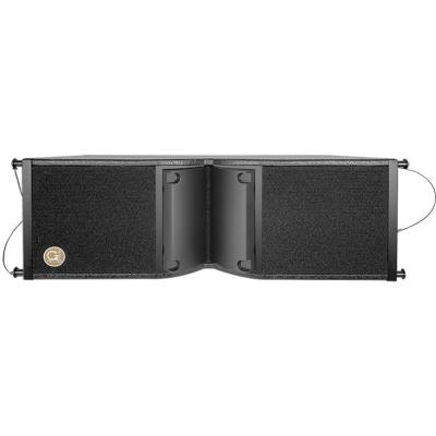 China Disco\Bar\Club\Home Professional Hot Sale TZ-228 Birch Plywood 2 Way Plywood Line Speaker Max Black Power Plywood Material Audio for sale