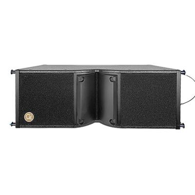 China China New Product TZ-228PA Pro Outdoor Audio Stage Passive Line PA 500 Watt Black Array Speaker Sound System for sale