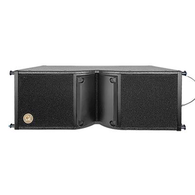 China China New Product TZ-228PA Outdoor Dual Array Speaker Sound System Passive 8 Inch PA Black 500 Watt for sale