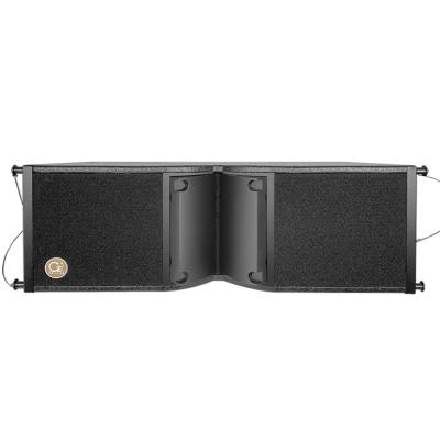 China Professional Line 8 Inch Double Array Music Restaurant Audio Indoor Bar Outdoor Performance Bars Subwoofer for sale