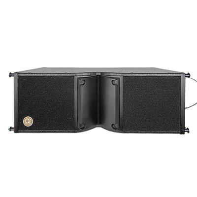 China TR.LIGE Professional 8 Inch Dual Row Speaker System Multifunction Professional Voice Line Bar for sale