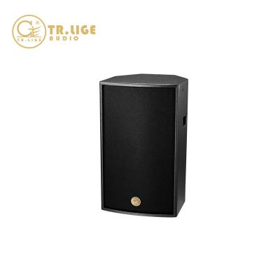 China Disco\Bar\Club\Pro Home Audio Line Array Sound System Stage TP-101 New Product China for sale