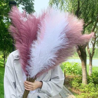 China Festival Artificial Flower Decor Pole Fake Pampas Grass Long Reed Large Simulation Artificial Pampas For Home Decoration for sale