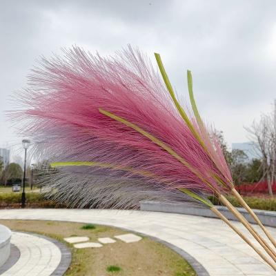 China Custom Decorative 70cm Festival Hot Selling Artificial Flowers Pampas Grass Multicolor Reeds Artificial For Weeding Decoration for sale