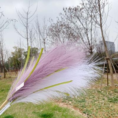 China Festival High Quality Dry Pampas Grass 