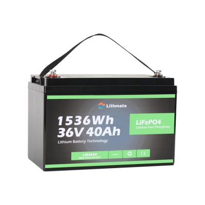 China Factory Made 36v 40ah Rechargeable Cylindrical Boat Lithium Marine Battery Packs of Li-ion E with Good Quality BMS Protection 329*172*214mm for sale