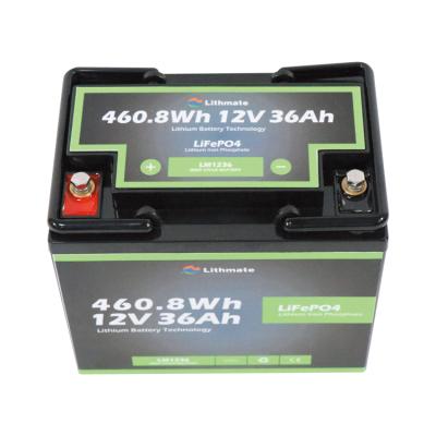 China Long life lithium ion battery lifepo4 battery bms solar powered storage 12V 36Ah for golf cart for sale