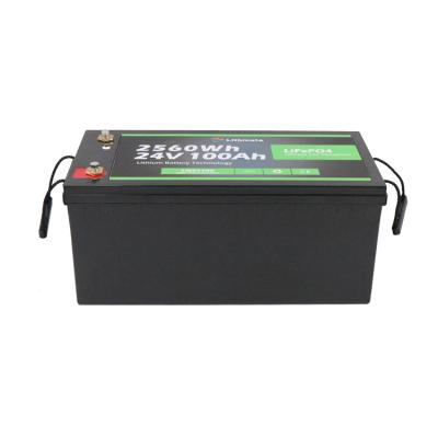 China Wholesale Long Life Solar Battery Good Price Lithium Iron Phosphate Battery 24V 100Ah for sale