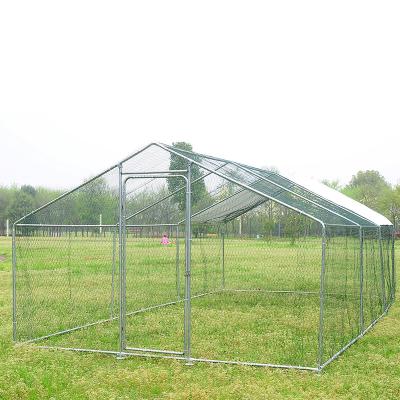 China Chicken farm duck cages and rabbit races for sale