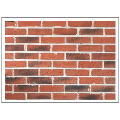 China High Quality Background Industrial Wall Clay Brick Corner Bricks Cultural Firewall Brick for sale