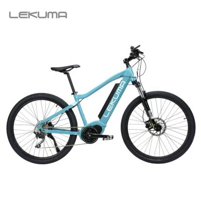 China hot sale oem aluminum alloy mid motor bafang electric mtb for sale