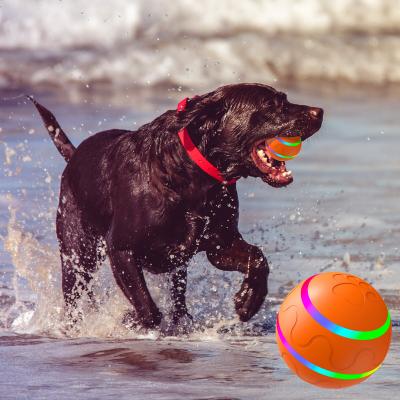 China Smart Viable Electric Automatic Roller LED USB Waterproof Hot Selling Silicone Dog Ball Rechargeable Remote Control Rechargeable Toy for sale