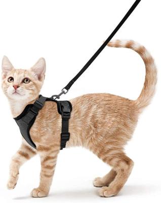 China I Shaped Dog Cat Harness With Leashes Multi Viable Colors Adjustable Breathable Explosion Proof Shock Sizes Set for sale