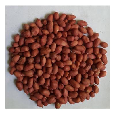 China Dried Peanuts Nut Bags and Shelled Peanuts Roasted and Salted Peanut Peanut Kernel for sale