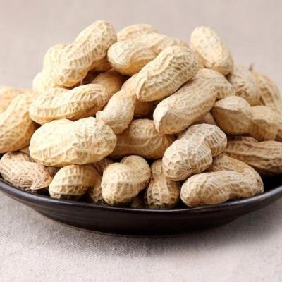 China China Buyers Manufacturers Dried Peeled Peanut Kernel Specification Nut Raw Bold Peanut Red Peanut for sale