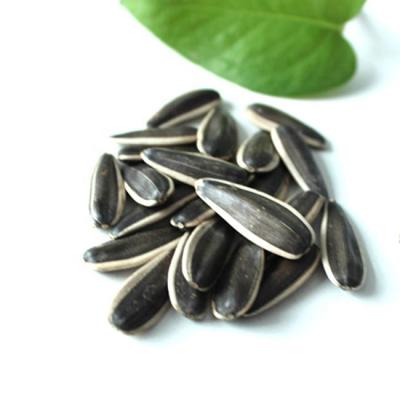 China Sunflower Seed Dry Black Striped Pack 20 Kg Sunflower Seed Kernel Buyer Sunflower Seeds for sale