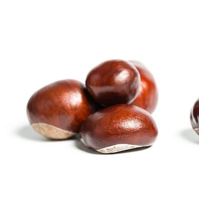 China China Supply 10kg Fresh Raw Chestnut Frozen Chestnuts for sale