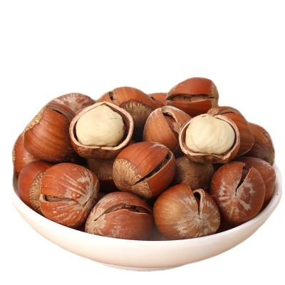 China Excellent quality dry hazelnut hazelnut high quality hazelnut price at attractive price for sale