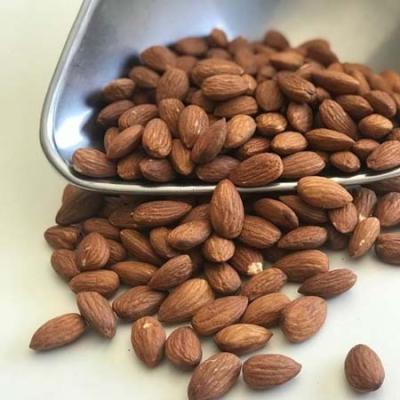 China Dry Wholesale Almond Kernel / American Almond Raw Natural Almond Nuts for sale