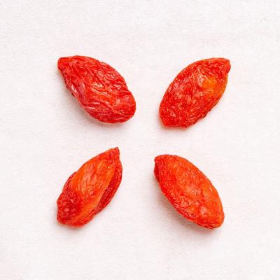 China High Nutrition GradeFresh Premium Organic Dry Natural Chinese Red Goji Berry Lycium Ruthenium for sale