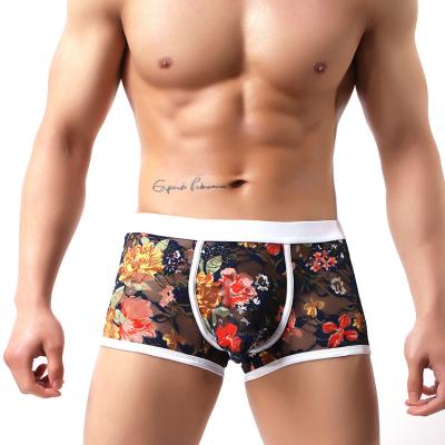 China Sexy Underwear Briefs Sissy Panties For Men Sexy Underwear Briefs Rise Full Transparent Lace Boxer Briefs Mens Underwear Stockings for sale