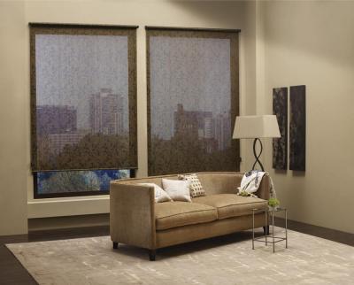 China Wholesale Industrial Outdoor Transparent Roller and Fabric Indoor Roller Blinds for sale