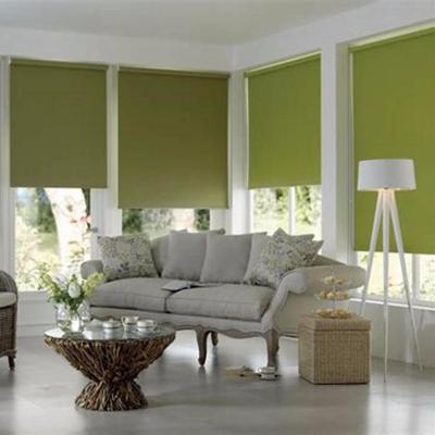 China Latest Home Roller Window Blind , Manual Polyester Roller Screen Blind for sale