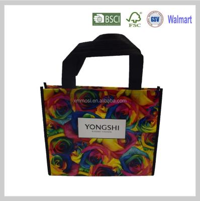 China 2017 Promotional Hot Sale Handled Laminated Bag PP Non Woven Bag For Women for sale