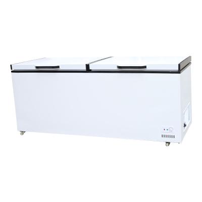 China Hot Selling Single-temperature Refrigeration Equipment Freezer Double Door Top Opening Horizontal Freezer for sale