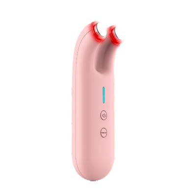 China USB Rechargeable Face Lift Microcurrent Face Lift Beauty Device Sonia EMS RF Beauty Equipment for sale