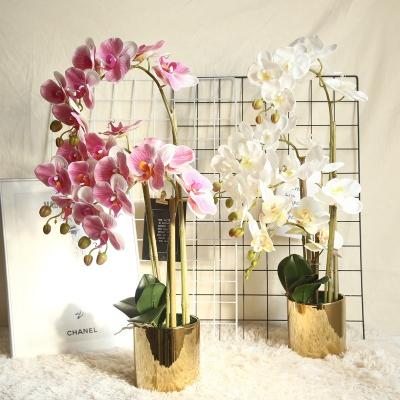 China Home.Party.Restaurant.Bar.Hotel.Wedding 7 Style Ins Style Home.Party.Restaurant.Bar.Hotel.Wedding Fabric Artificial Butterfly Orchid Wholesale High-end Hot Heads Real Touch For Wedding Party Home Decoration for sale