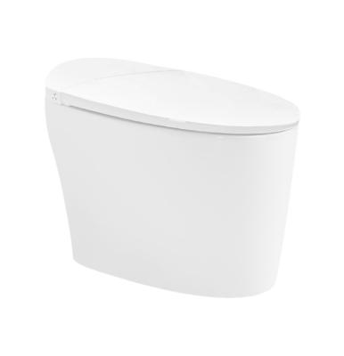 China Modern Nordic One Piece White Flush Bathroom Foot CE Cistern Hidden Ceramic Toilet European Sensor Sanitary for sale