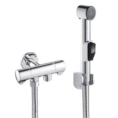 China Modern Wholesale Cheap Bathroom Bidet Spray Gun Seal Stainless Steel Toilet Bidet Sprayer for sale