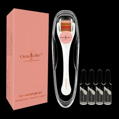 China Anti-Puffiness Ostar Beauty Titanium 540 Derma Roller Kit Micro Needles Set With Moisturing Serum Hyaloronic Serum Anti Aging Kit for sale