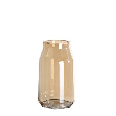 China Contemporary Wholesale Customized Color-changing Plated Decorates Clear Glass Vase for sale