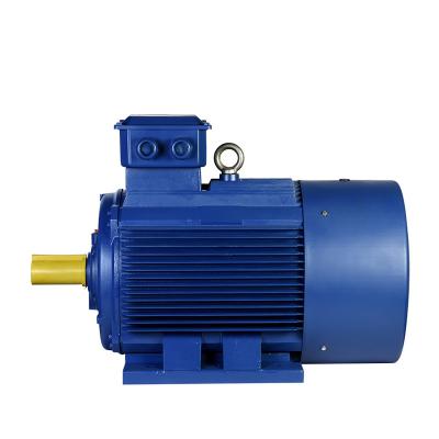 China Totally Enclosed Frequency Low Voltage High Power Variable Motor YE2 Series Three Phase Asynchronous Motor for sale