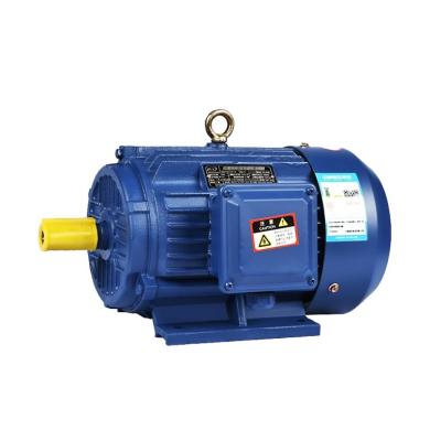 China YE2 Series High Quality Durable Metallurgical Three Phase Asynchronous Motor Totally Enclosed Motor for sale