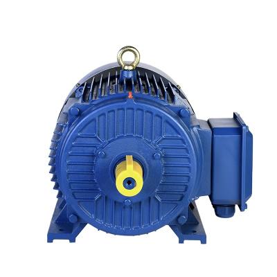 China Totally Enclosed Low Voltage 45kw Hot Selling Three Phase Asynchronous Electric Variable Frequency Motor for sale