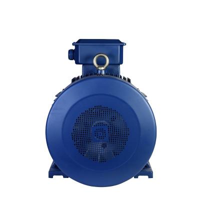 China Fully Enclosed Durable High Power Three Phase AC Motor Technology YE2 Professional Series Motor for sale