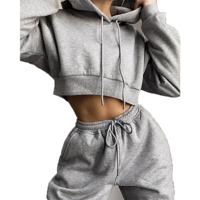 China Anti-Wrinkle Custom Design Logo Tracker Crop Top Training Suit Fleece Hoodie Pants 2 Pieces Set Tracksuits Women Jogging Sets for sale