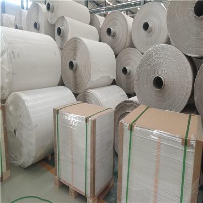 China Recyclable Stone Paper Water Resistant 100um 120um Notebook Printing Paper for sale