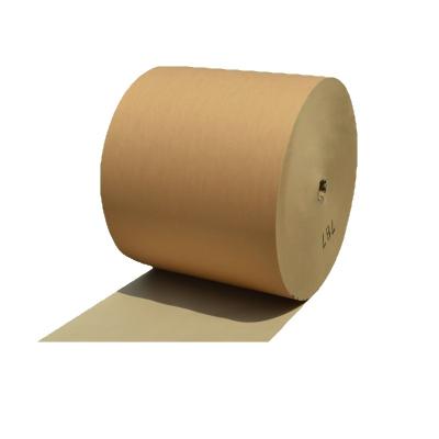 China Eco Friendly Custom Kraft Paper Single Double Wall Pe Coated Roll for sale